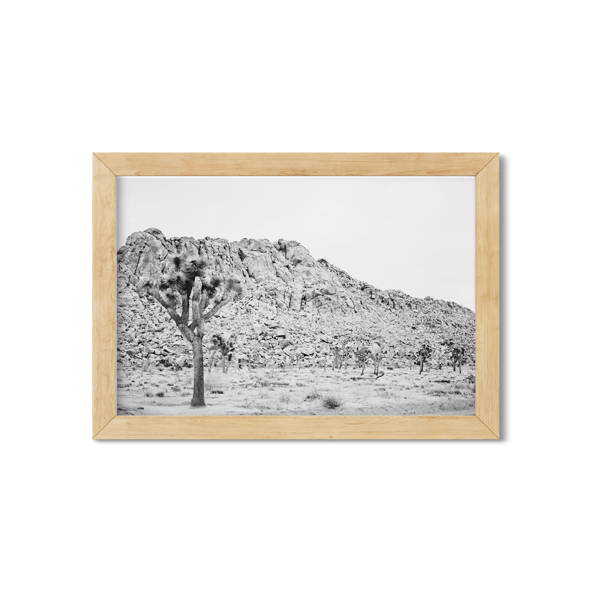 JOSHUA TREE NO. 3