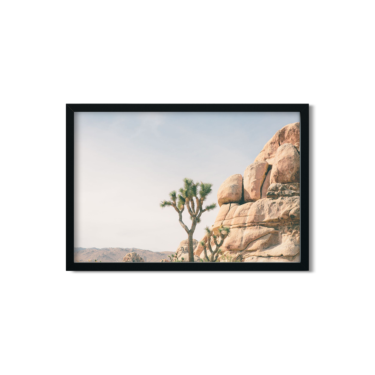 JOSHUA TREE NO. 4