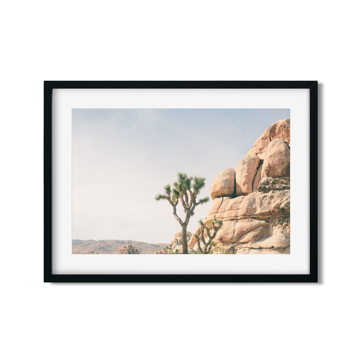 JOSHUA TREE NO. 4