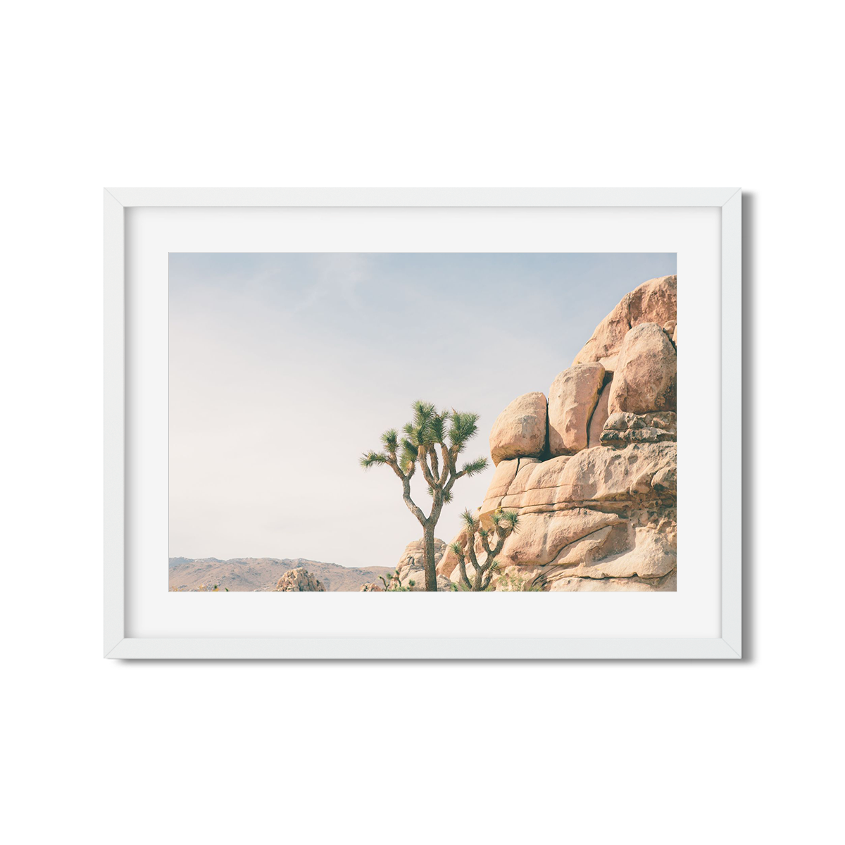JOSHUA TREE NO. 4