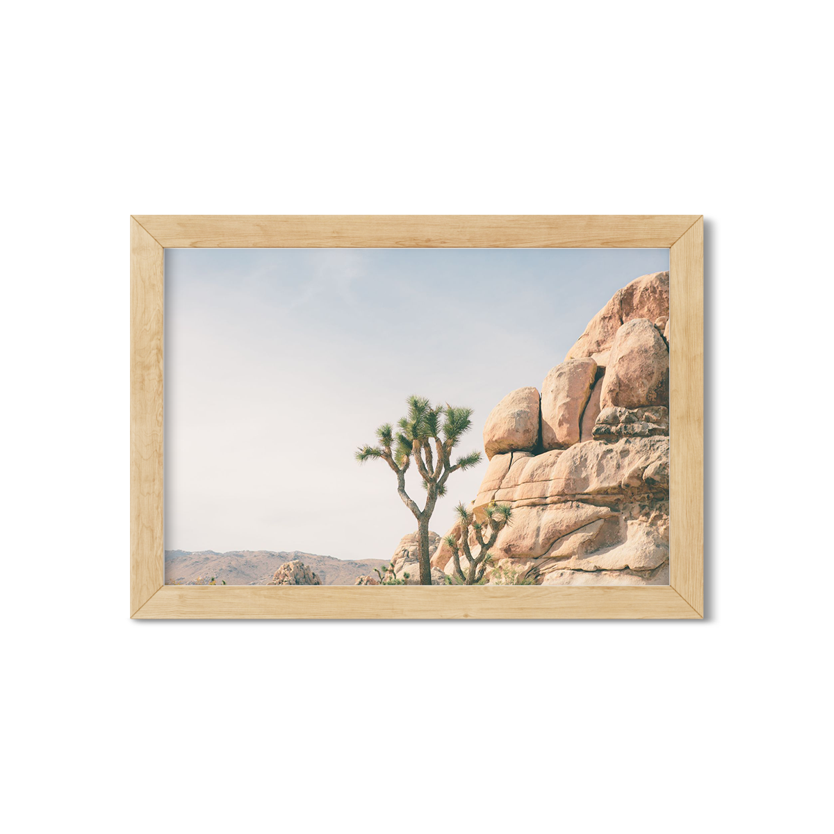 JOSHUA TREE NO. 4