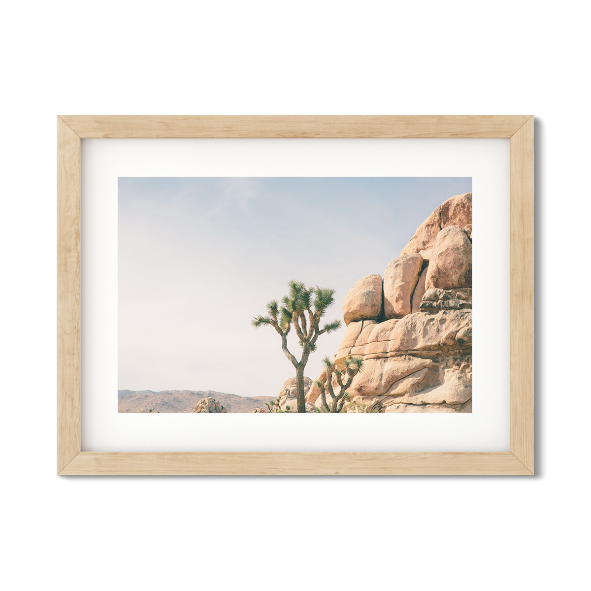JOSHUA TREE NO. 4