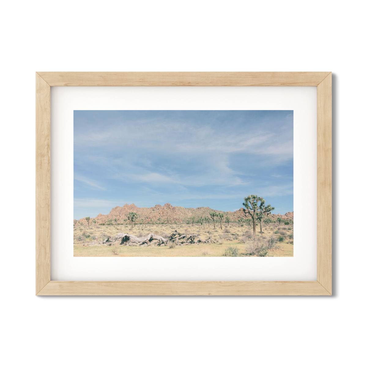 JOSHUA TREE NO. 15