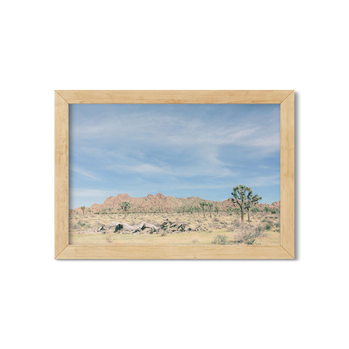 JOSHUA TREE NO. 15