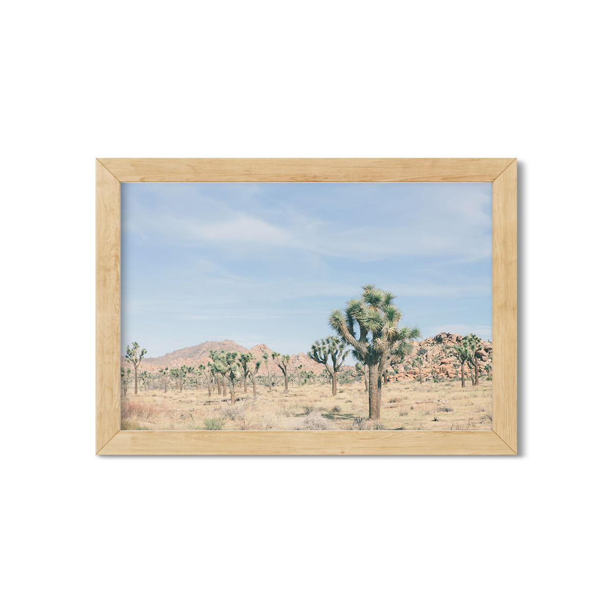 JOSHUA TREE NO. 20