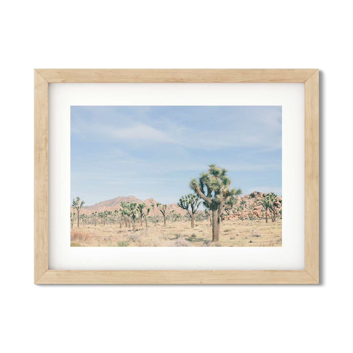 JOSHUA TREE NO. 20