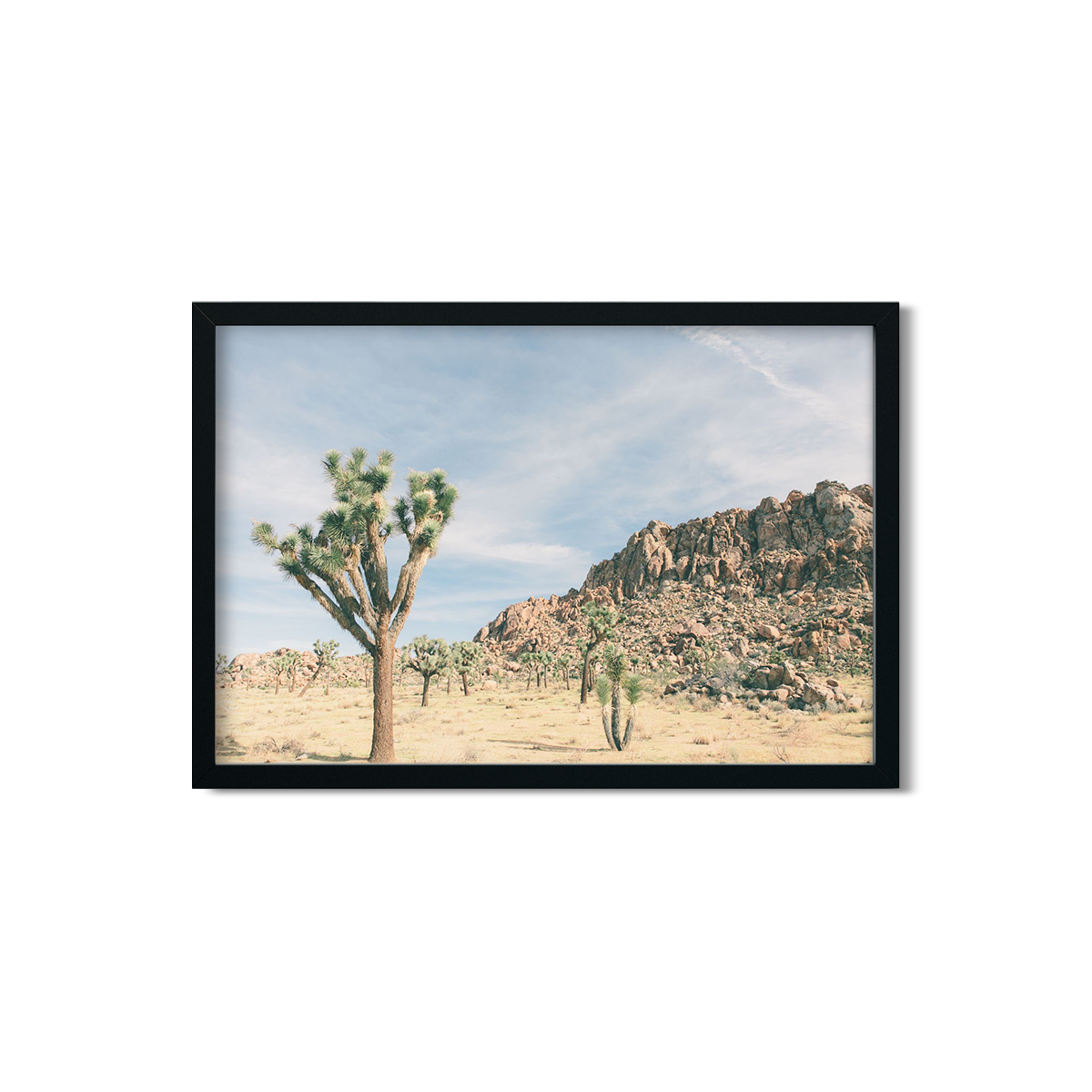 JOSHUA TREE NO. 10