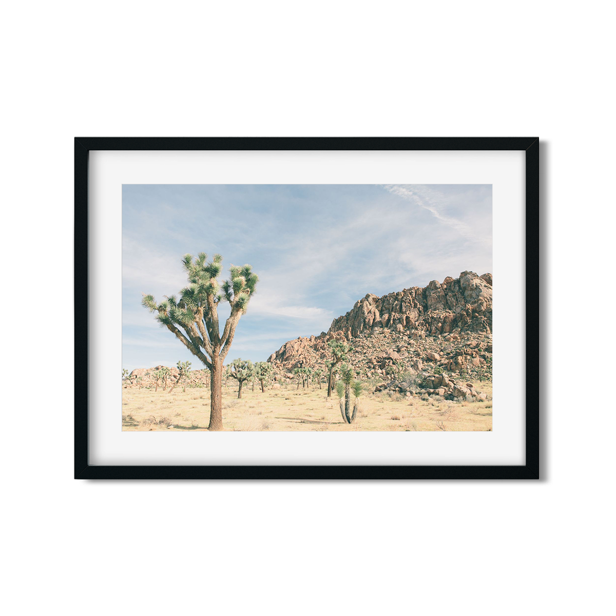 JOSHUA TREE NO. 10