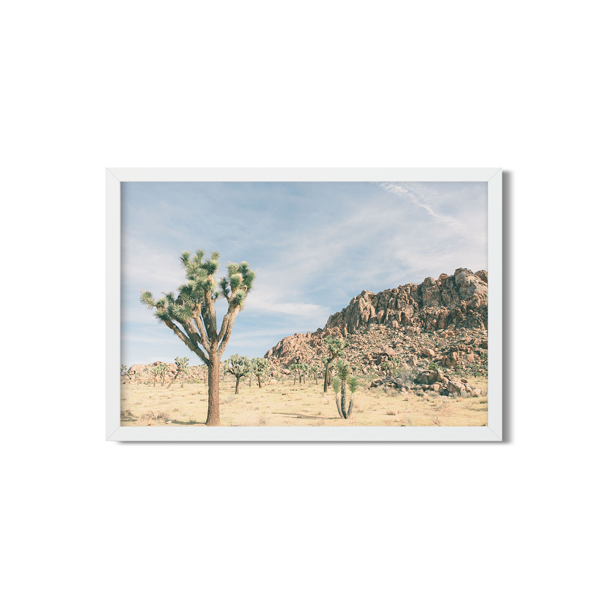 JOSHUA TREE NO. 10