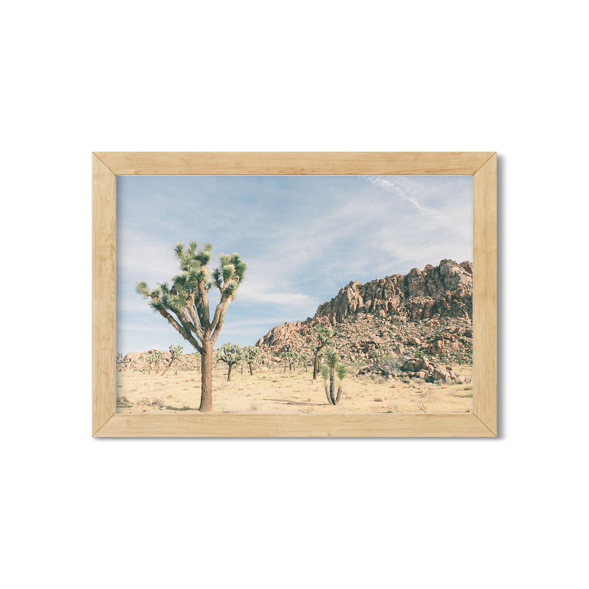 JOSHUA TREE NO. 10