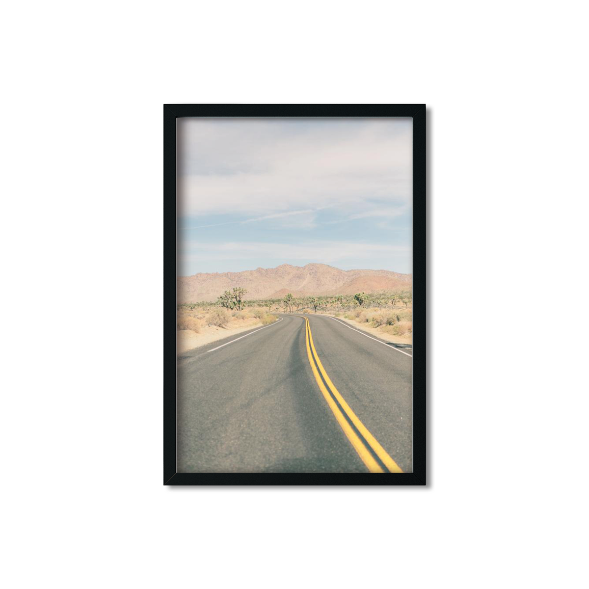 JOSHUA TREE NO. 19