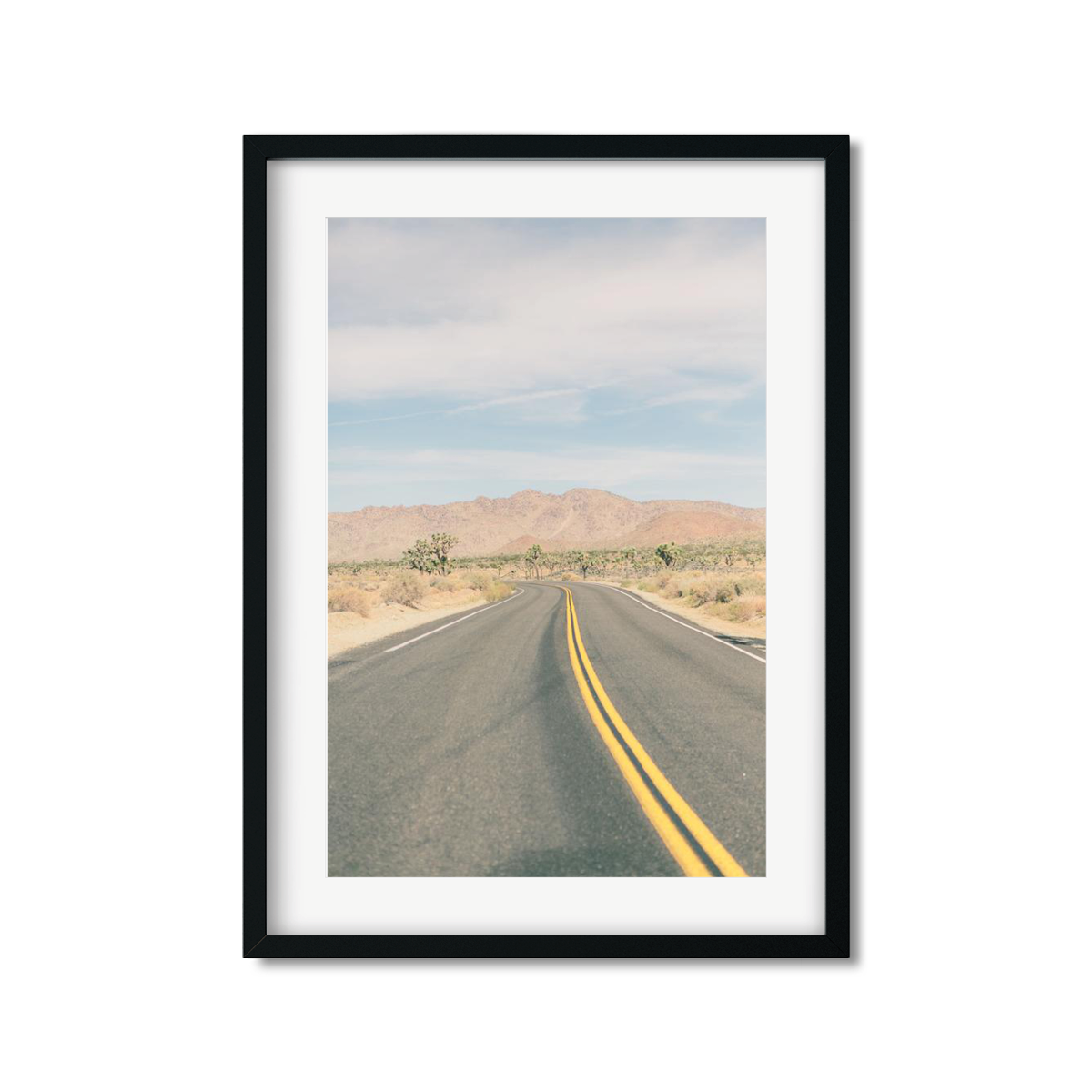 JOSHUA TREE NO. 19