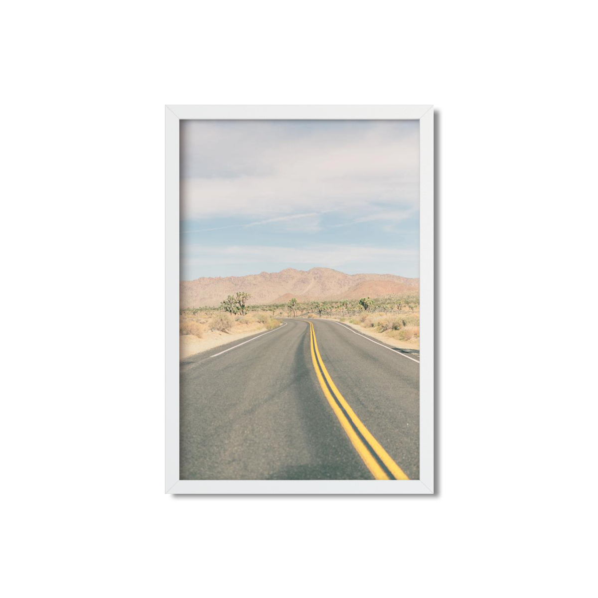 JOSHUA TREE NO. 19