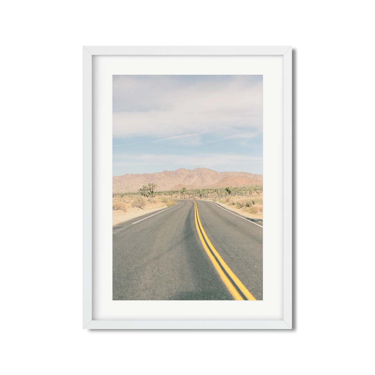 JOSHUA TREE NO. 19