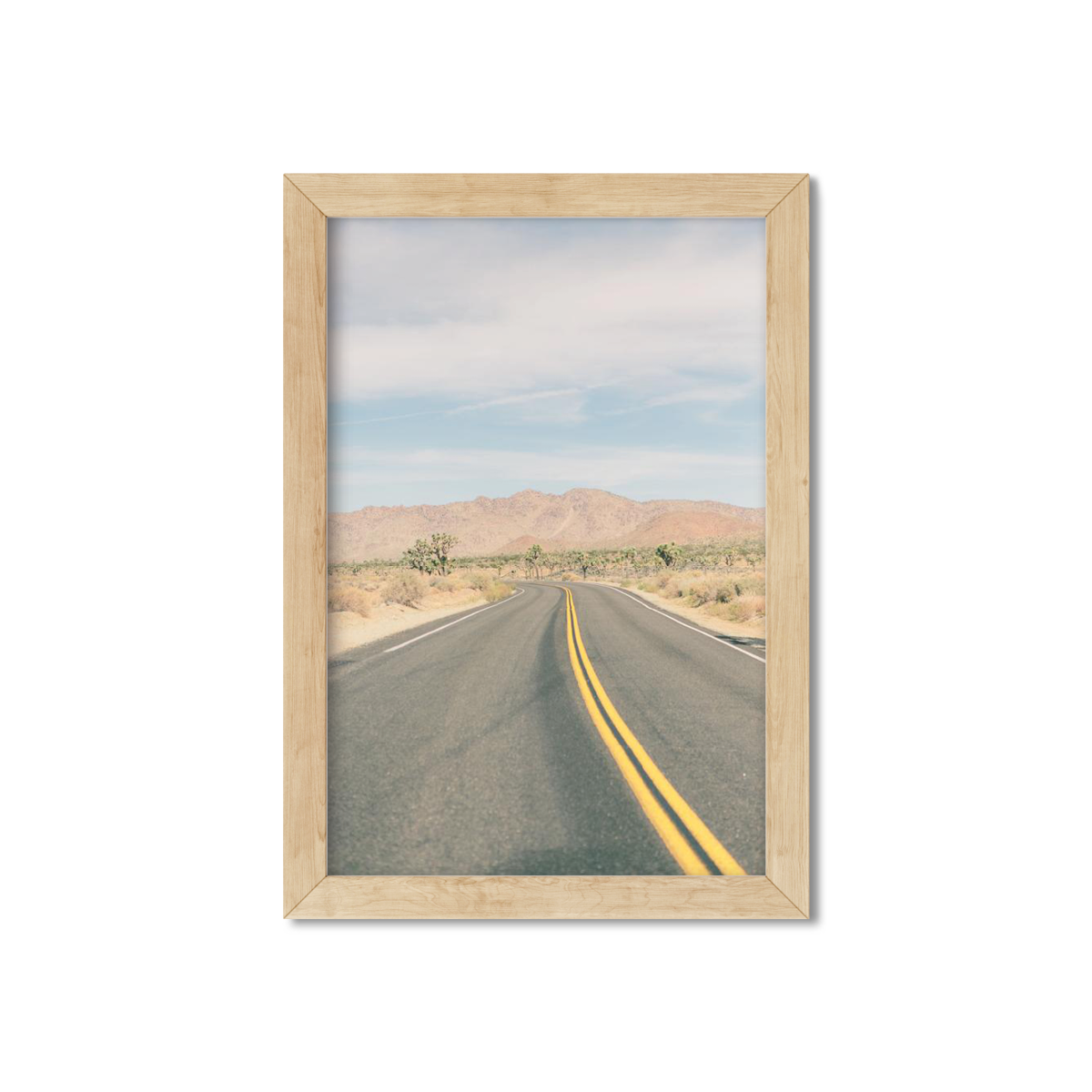 JOSHUA TREE NO. 19