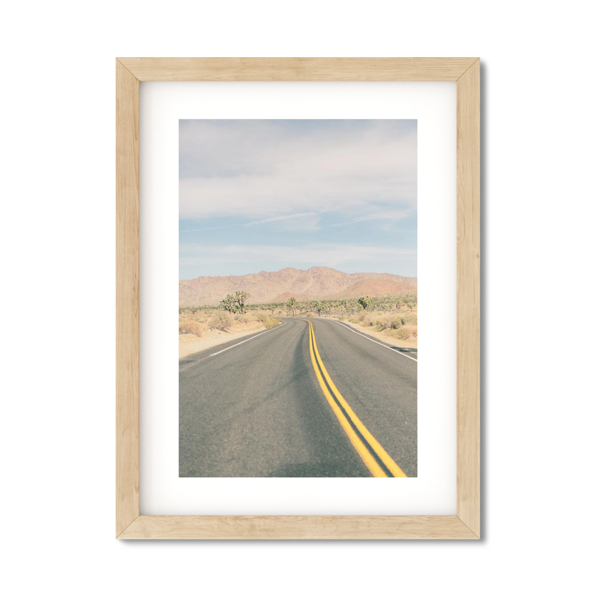 JOSHUA TREE NO. 19