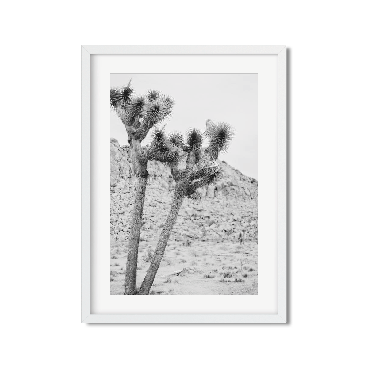 JOSHUA TREE NO. 2