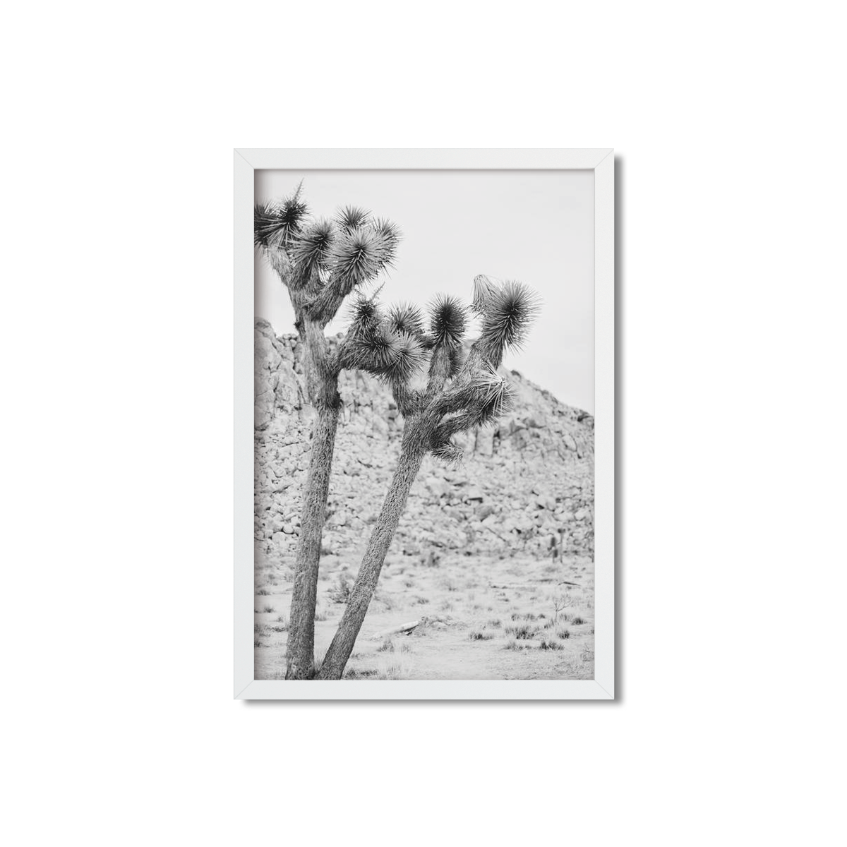 JOSHUA TREE NO. 2