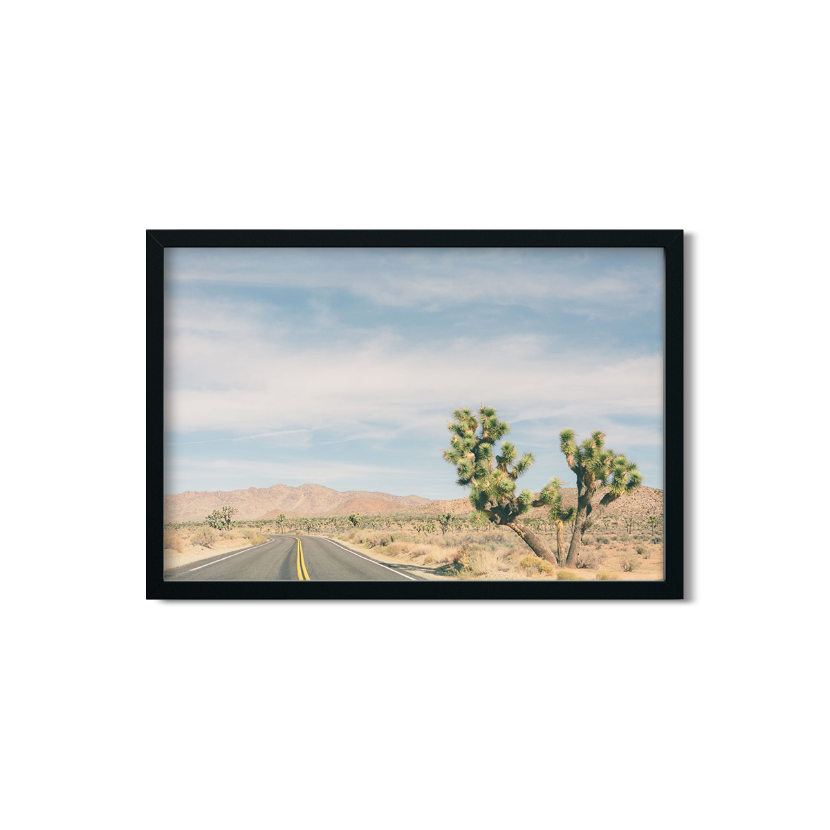 JOSHUA TREE NO. 17