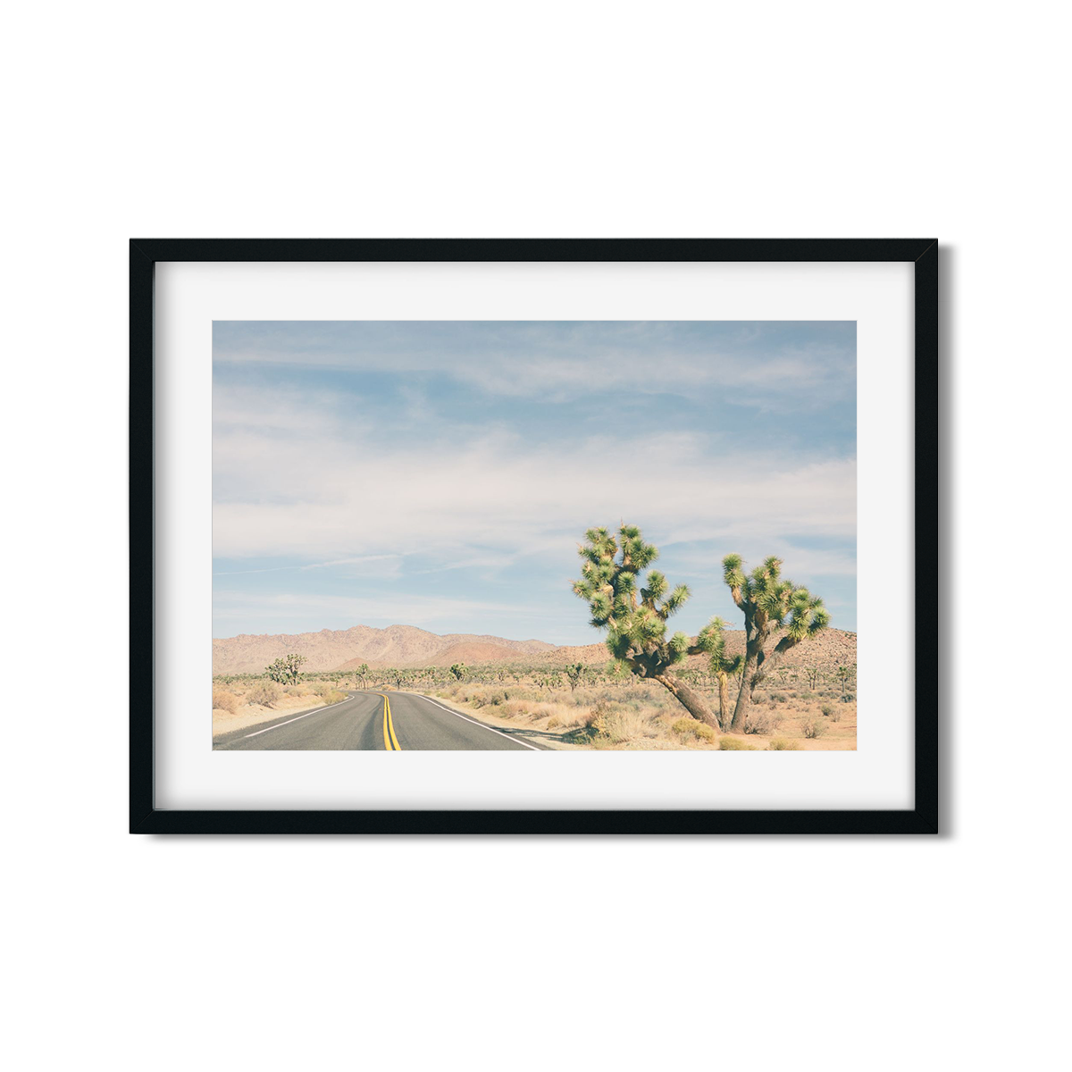 JOSHUA TREE NO. 17