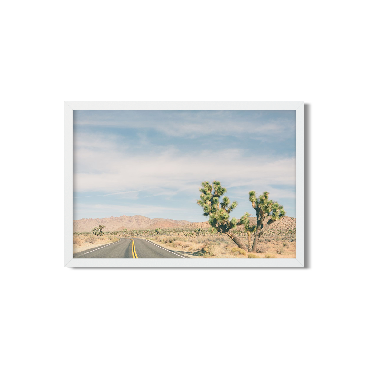 JOSHUA TREE NO. 17