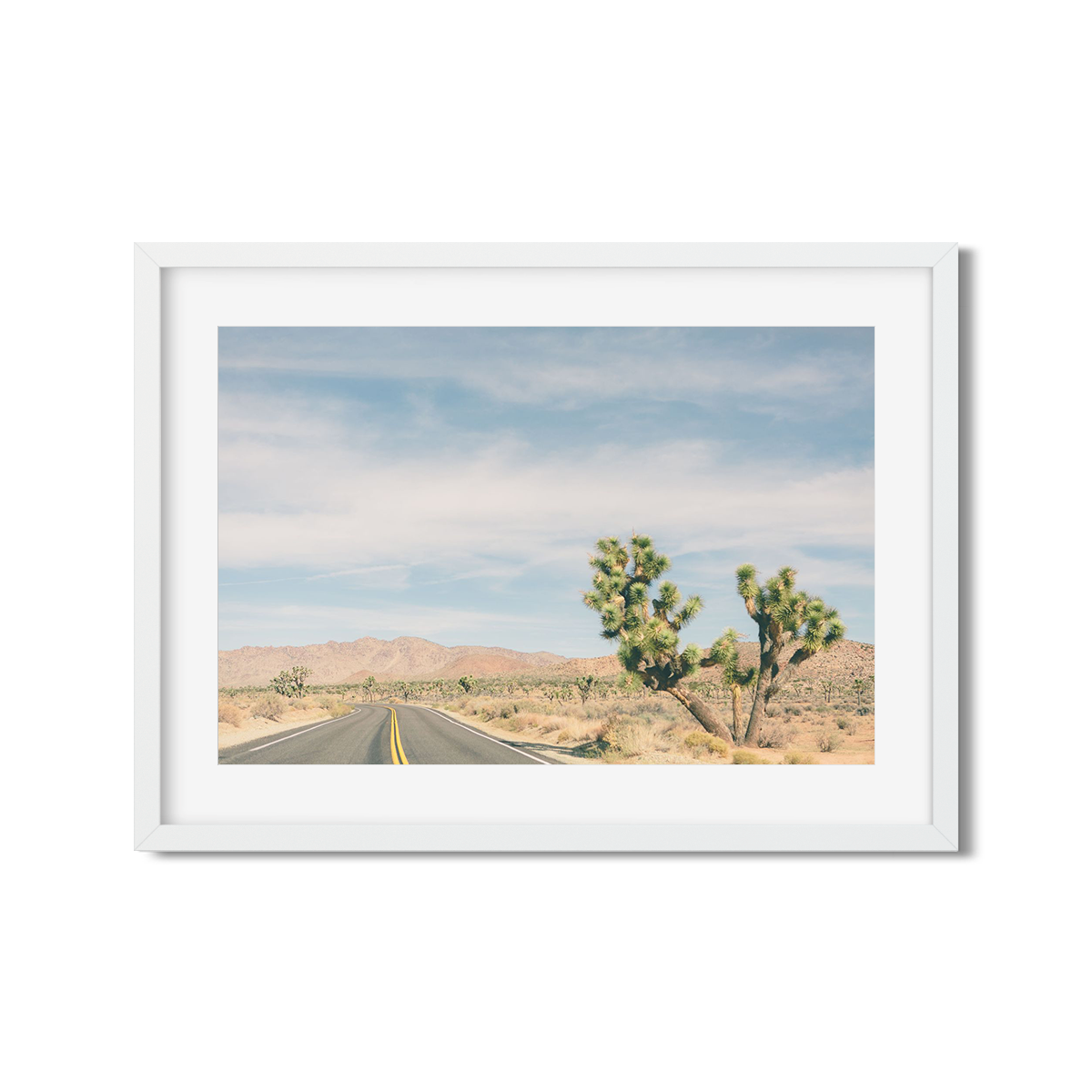 JOSHUA TREE NO. 17