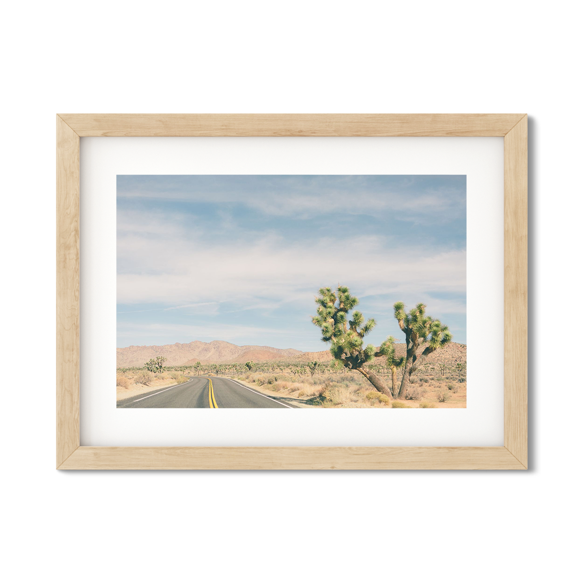 JOSHUA TREE NO. 17