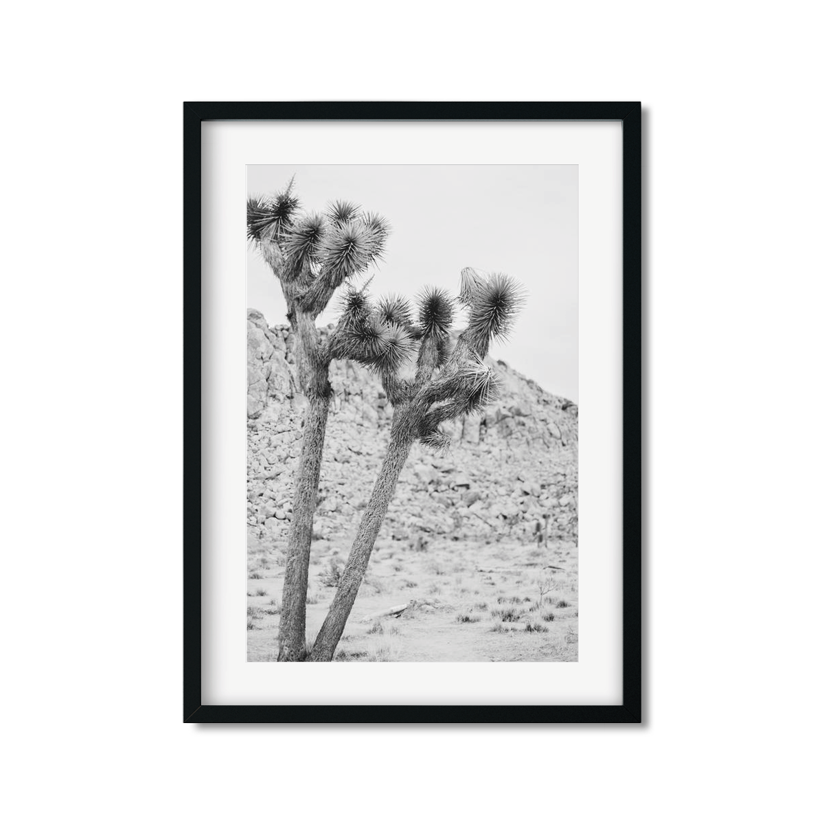 JOSHUA TREE NO. 2