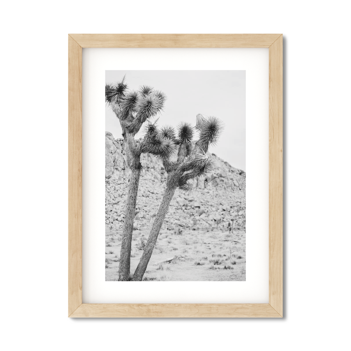 JOSHUA TREE NO. 2