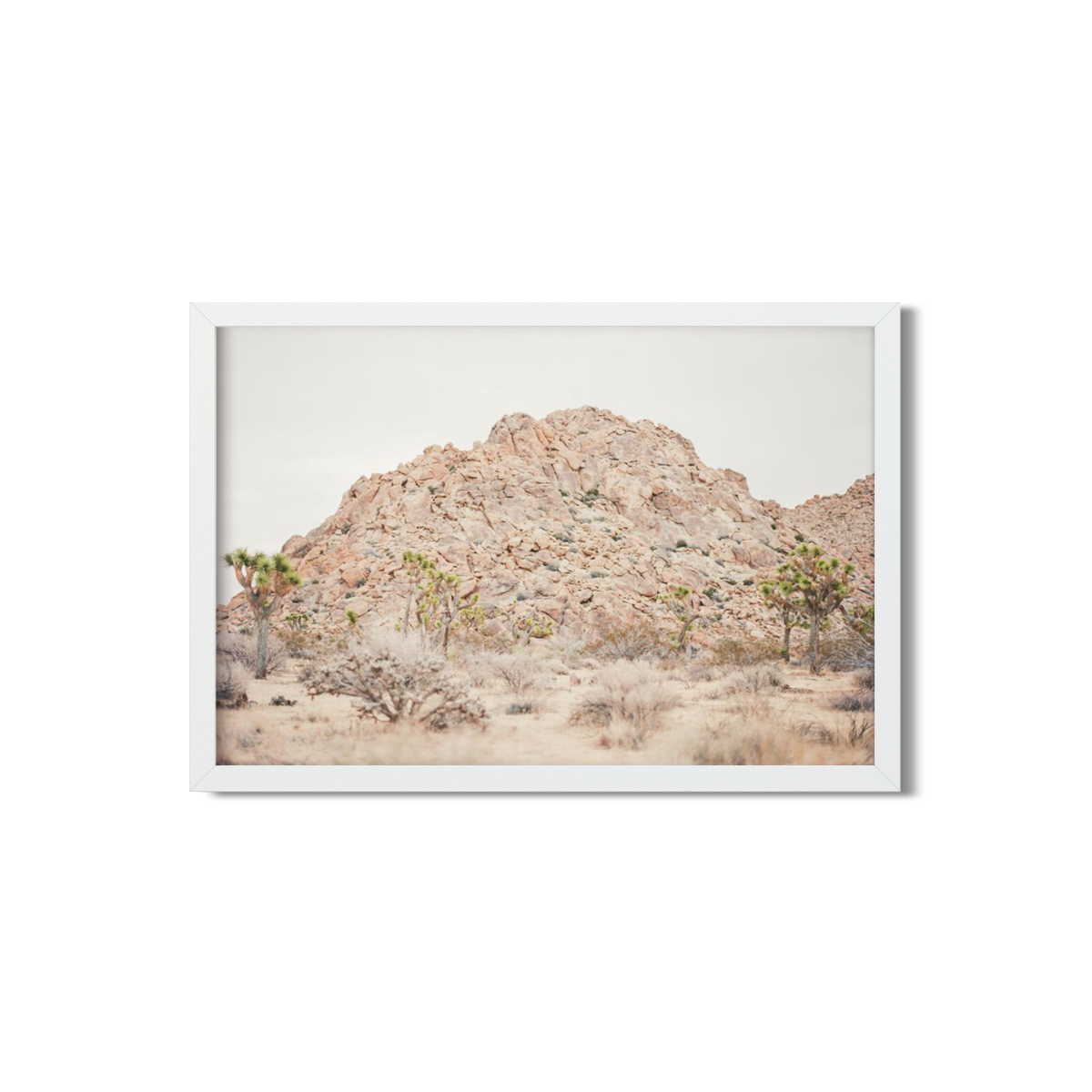 JOSHUA TREE NO. 22