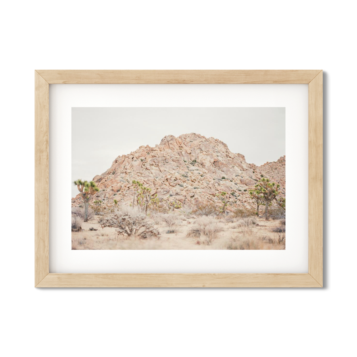 JOSHUA TREE NO. 22