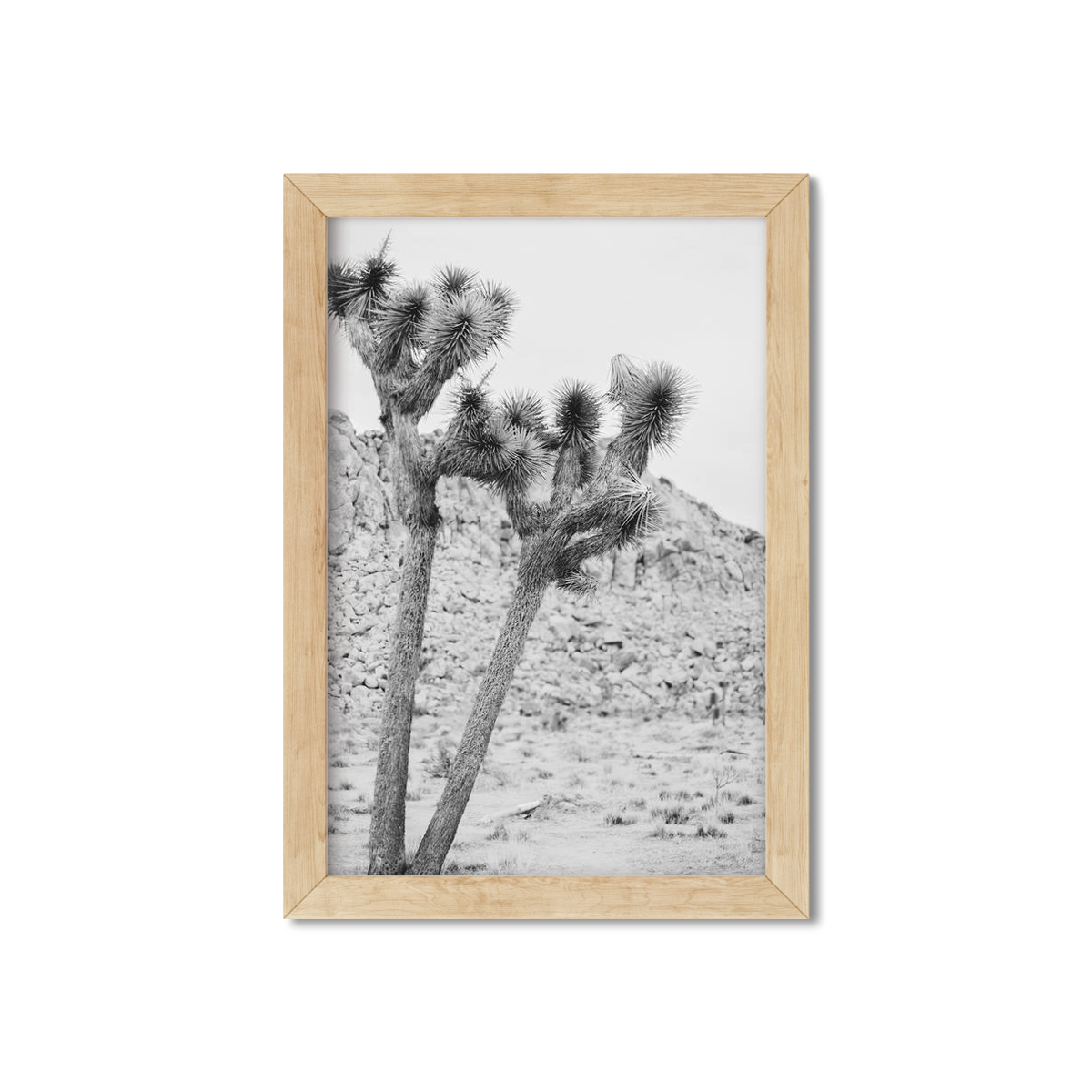 JOSHUA TREE NO. 2