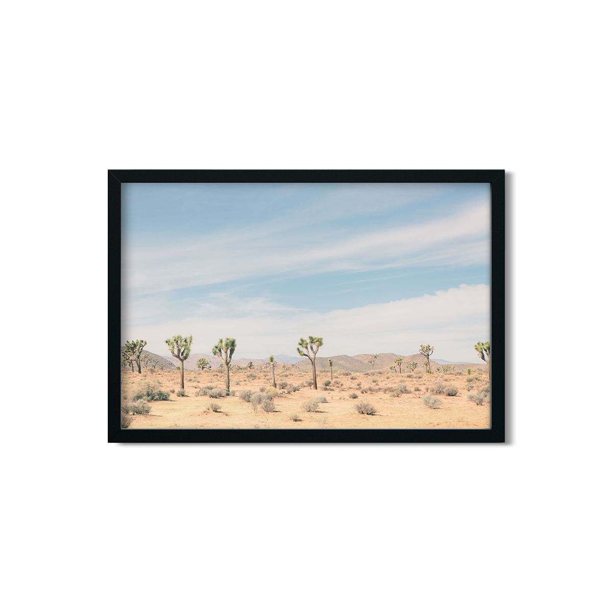 JOSHUA TREE NO. 5