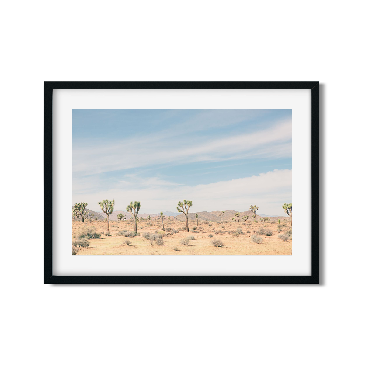 JOSHUA TREE NO. 5