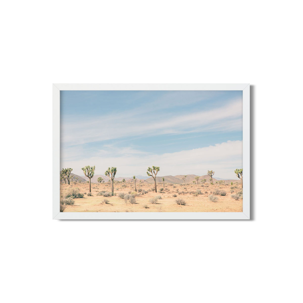 JOSHUA TREE NO. 5