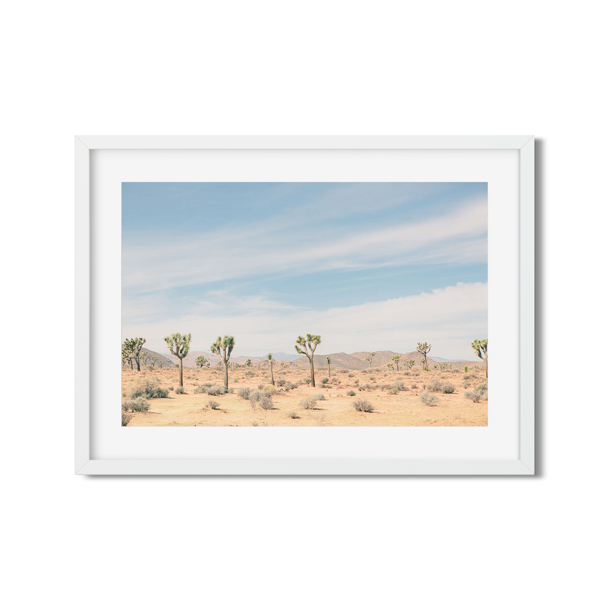 JOSHUA TREE NO. 5