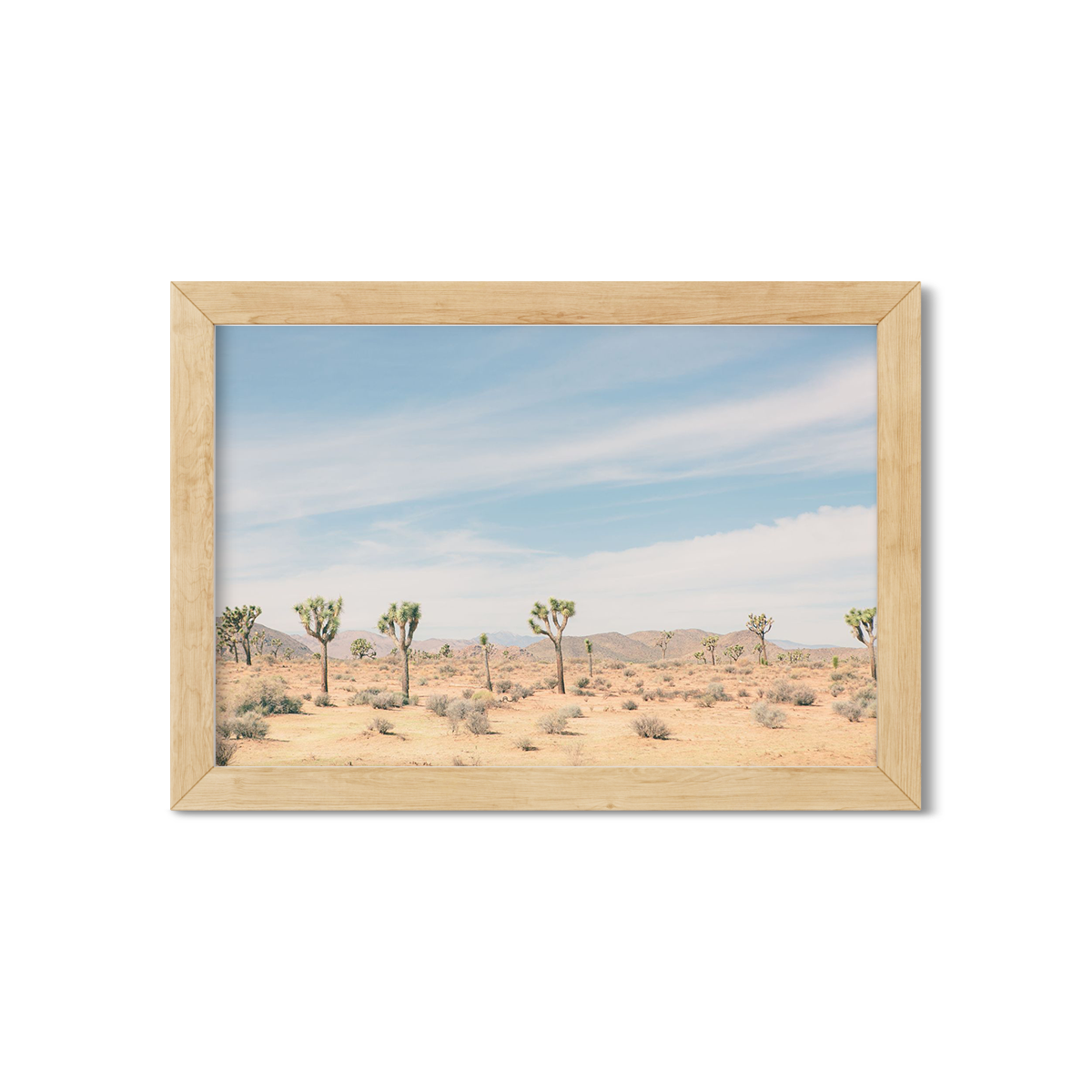 JOSHUA TREE NO. 5