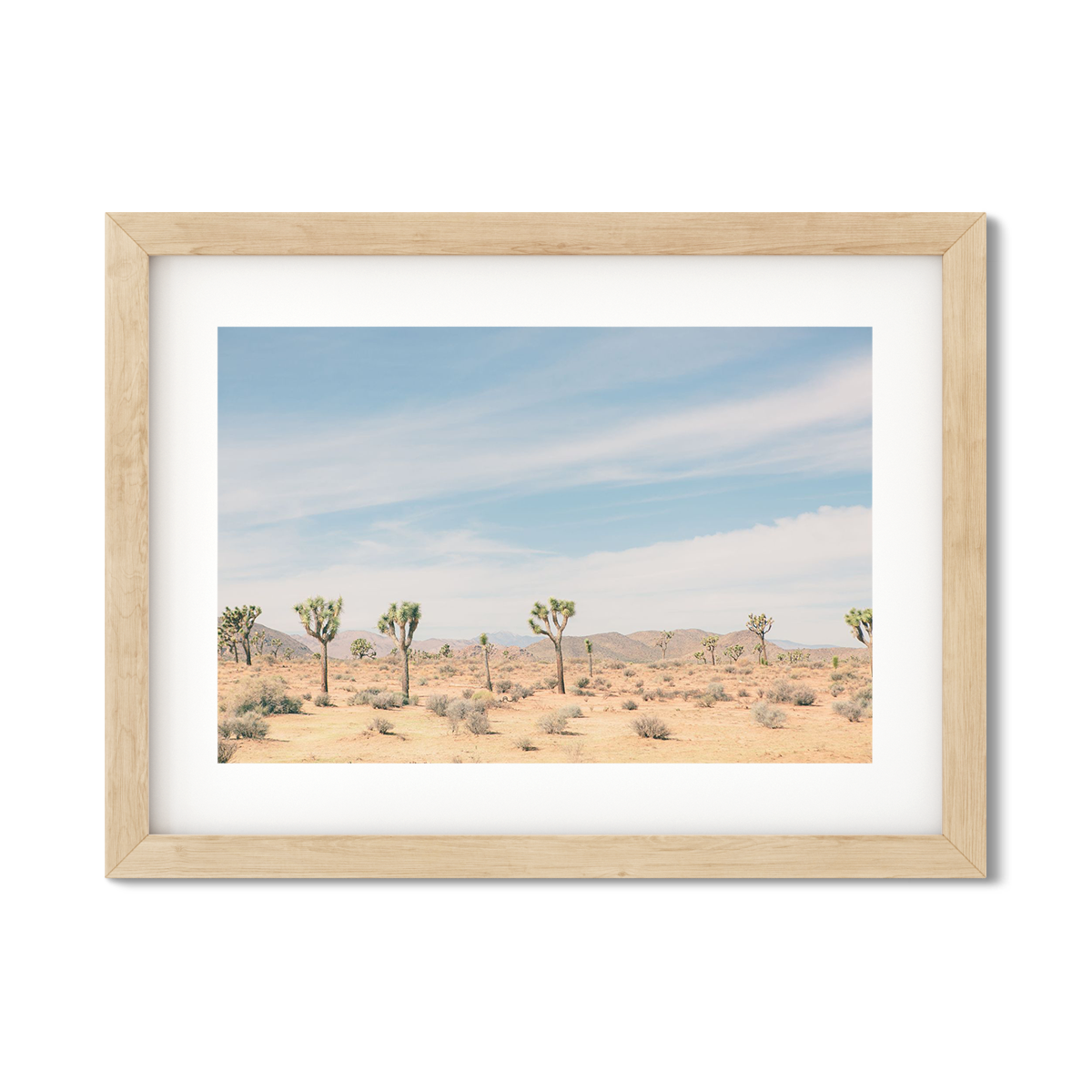 JOSHUA TREE NO. 5