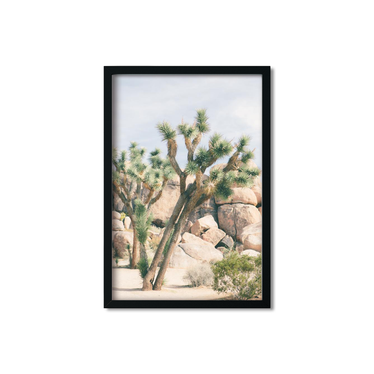 JOSHUA TREE NO. 7