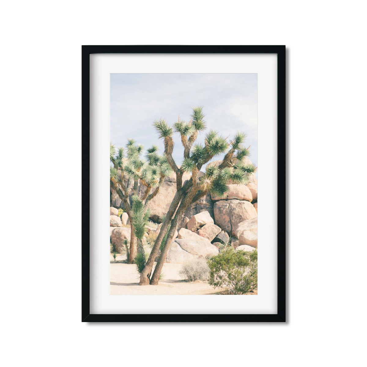 JOSHUA TREE NO. 7