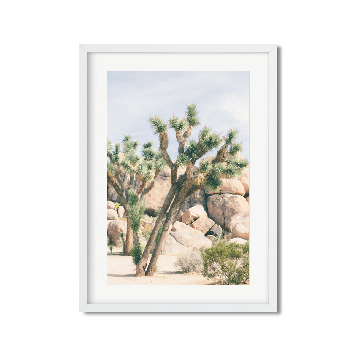 JOSHUA TREE NO. 7