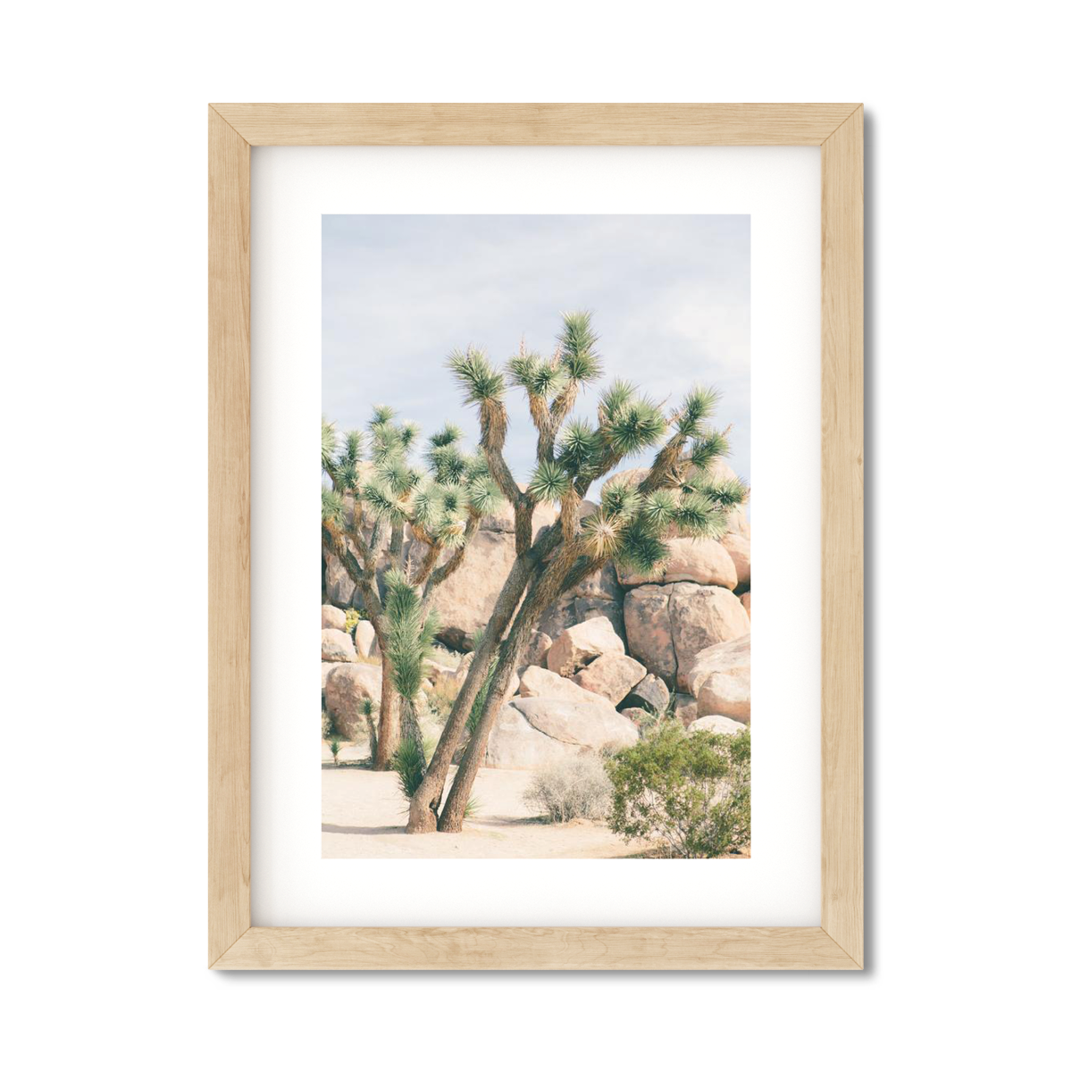 JOSHUA TREE NO. 7