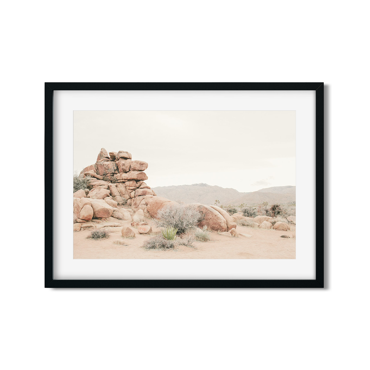 JOSHUA TREE NO. 8