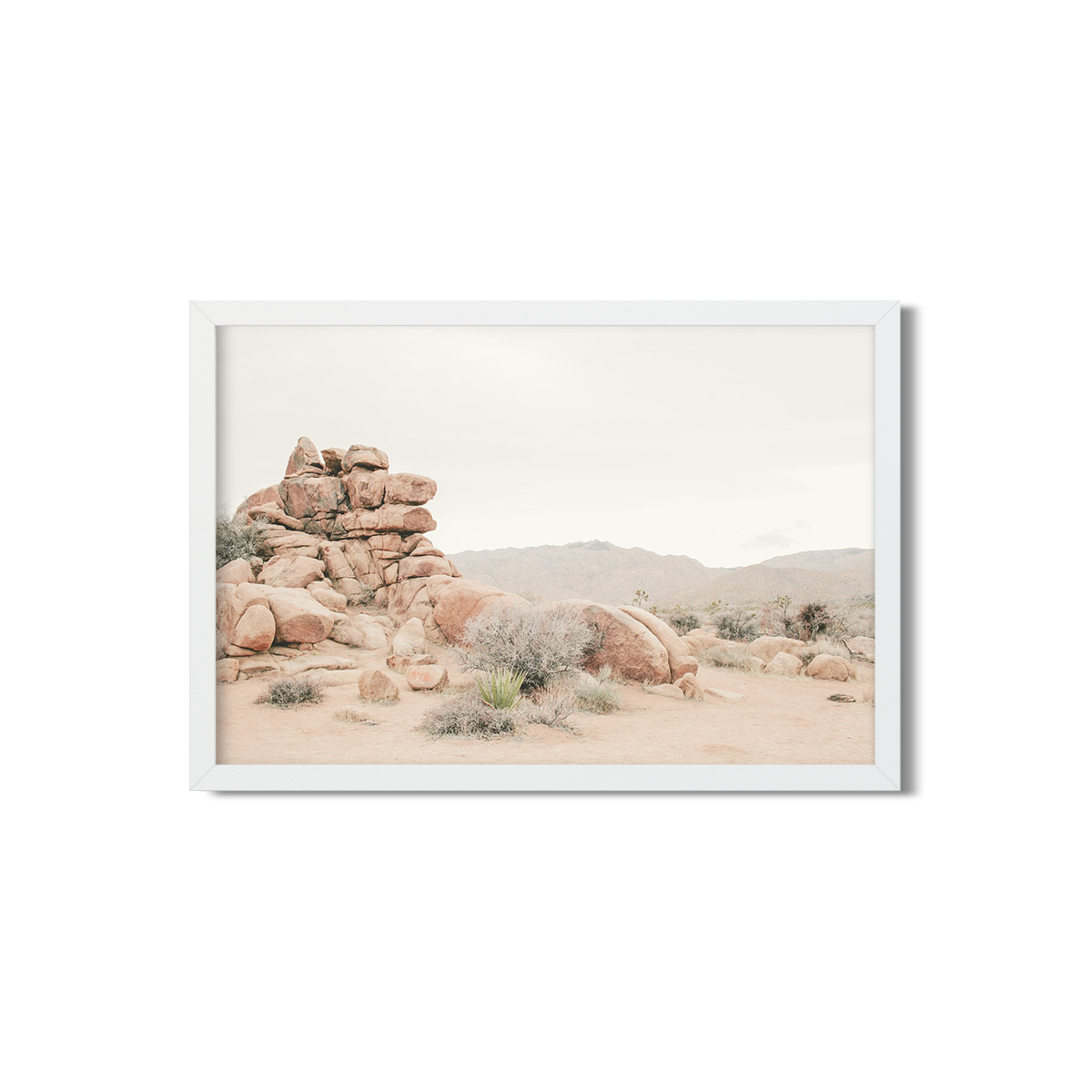 JOSHUA TREE NO. 8