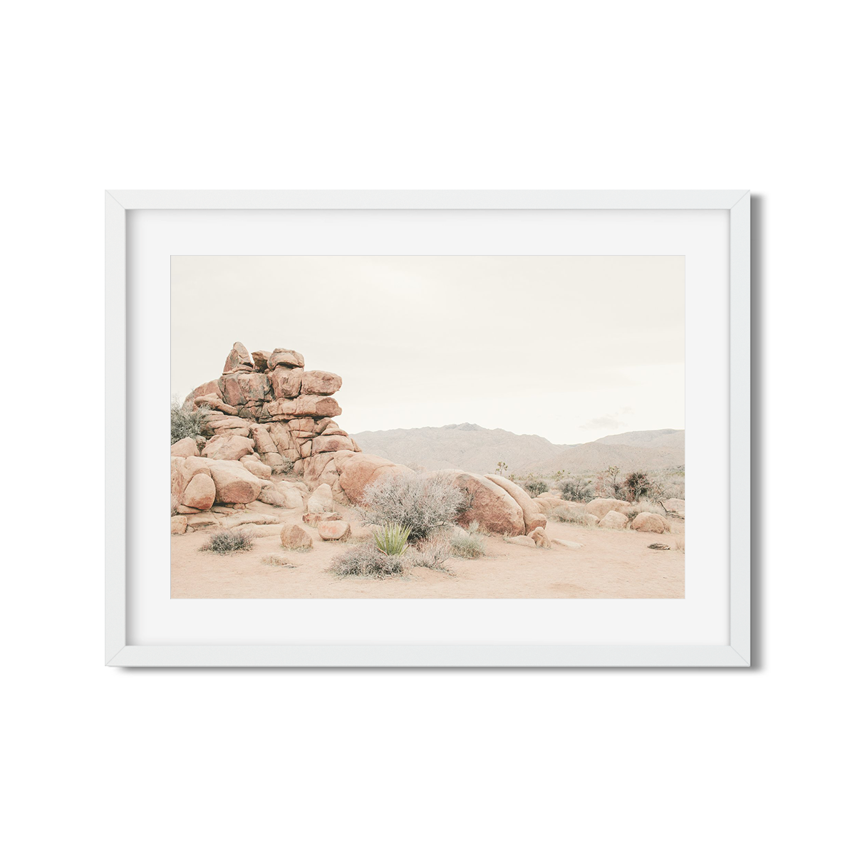 JOSHUA TREE NO. 8
