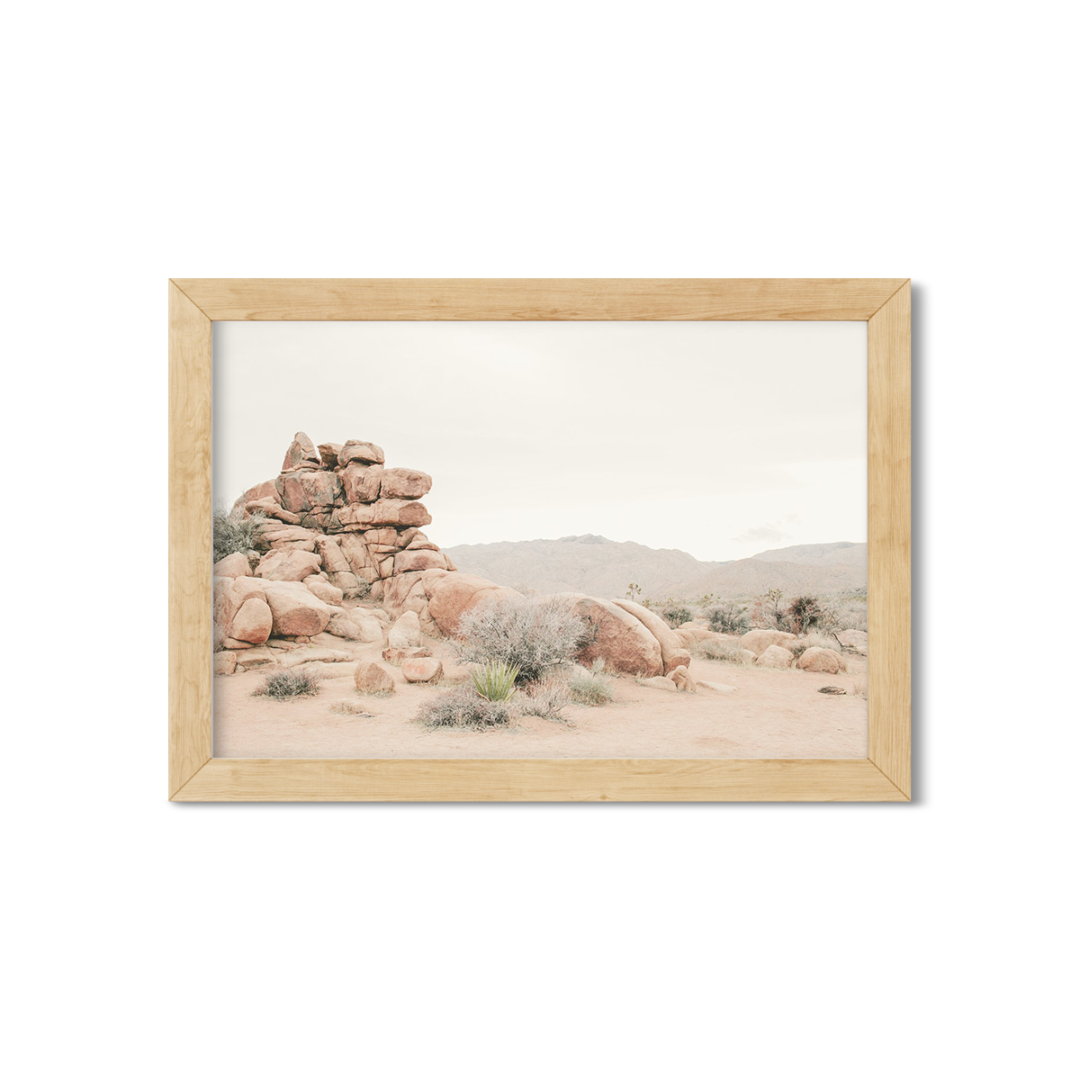 JOSHUA TREE NO. 8