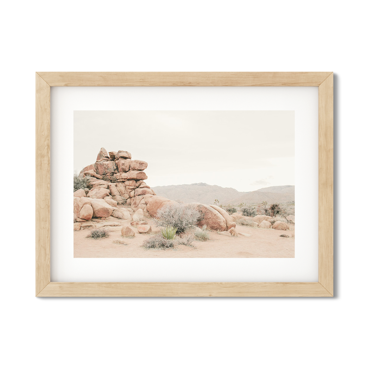JOSHUA TREE NO. 8
