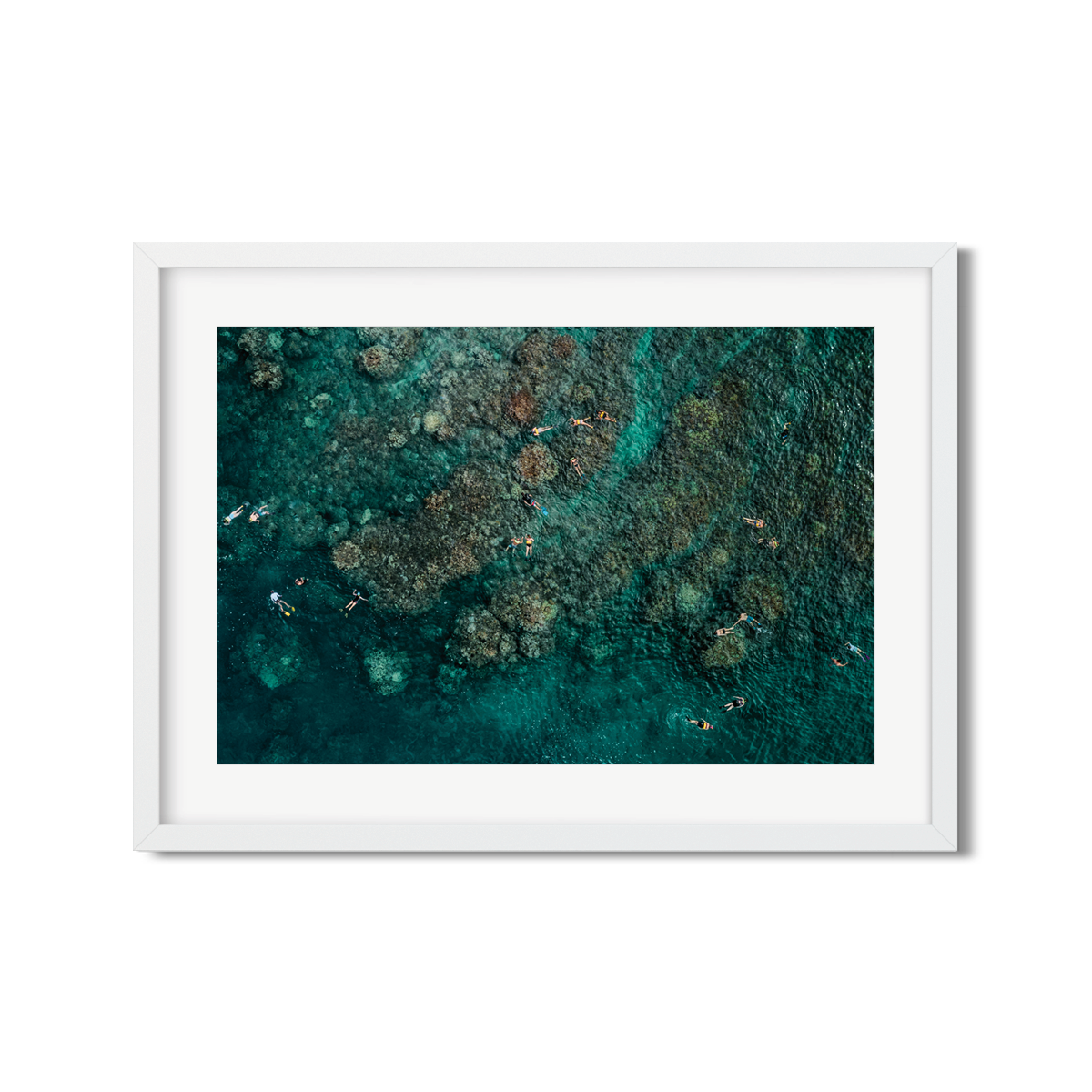MAUI SNORKELERS