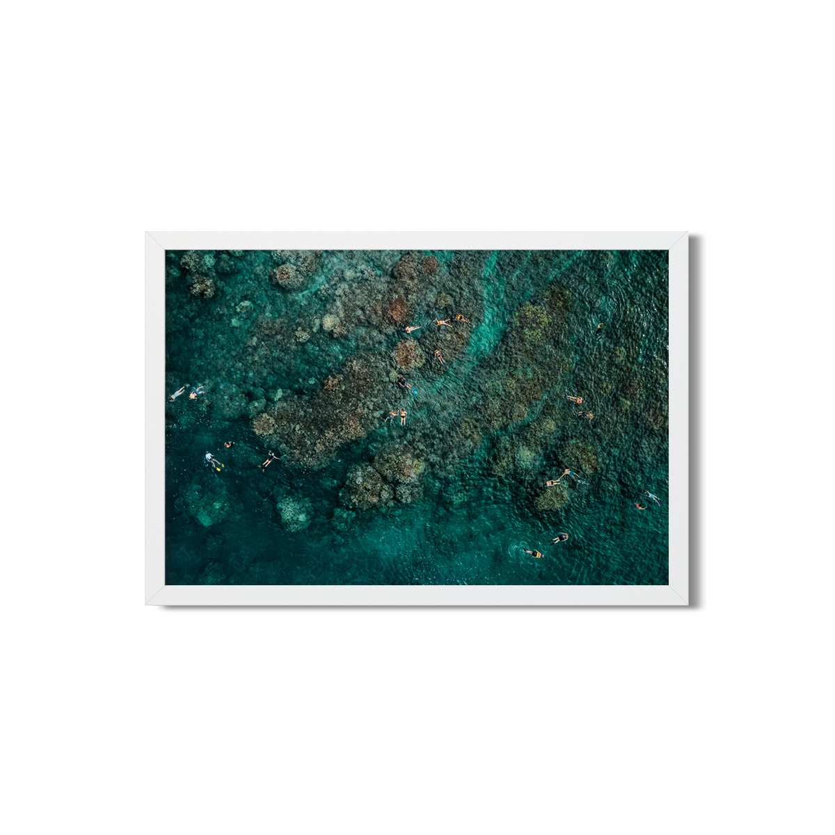 MAUI SNORKELERS