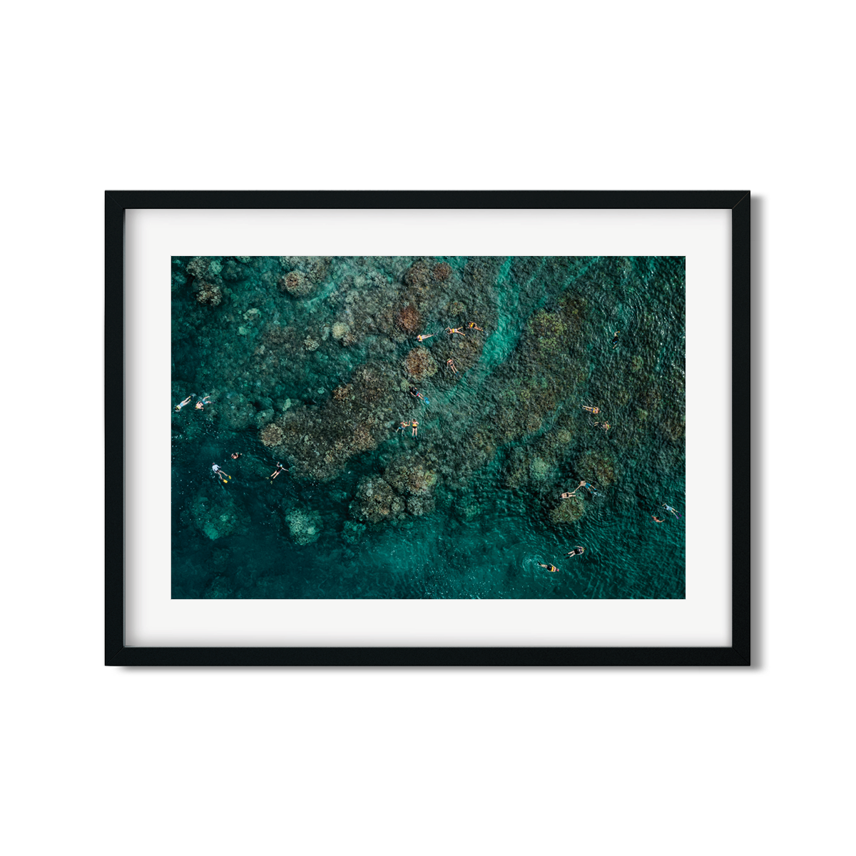 MAUI SNORKELERS